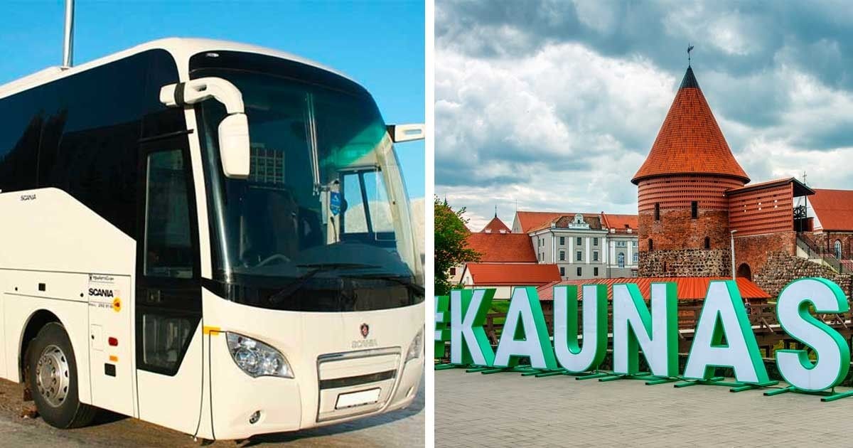 autobuso vairuotojo