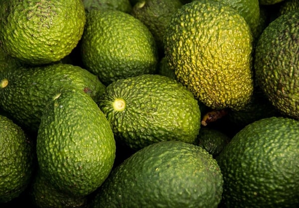 avokaduose
