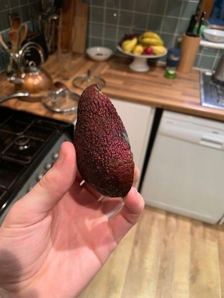 nuotrauka