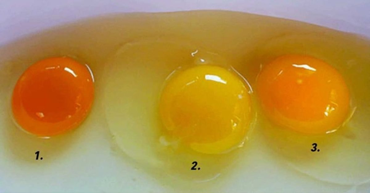 Kaip sužinoti, ar kiaušinį padėjo sveika višta? Štai keletas patarimų