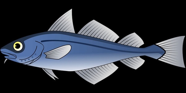 tunas 