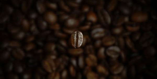 coffee bean