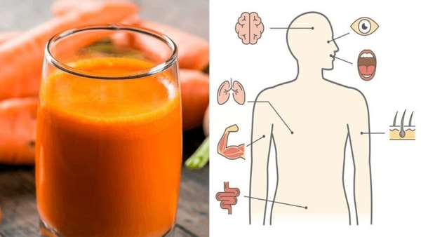 Morkų sultys stiprina imuninę sistemą, mažina cholesterolio kiekį kraujyje ir apsaugo nuo širdies ligų, padeda išvalyti toksinus ir gerina odos spalvą.