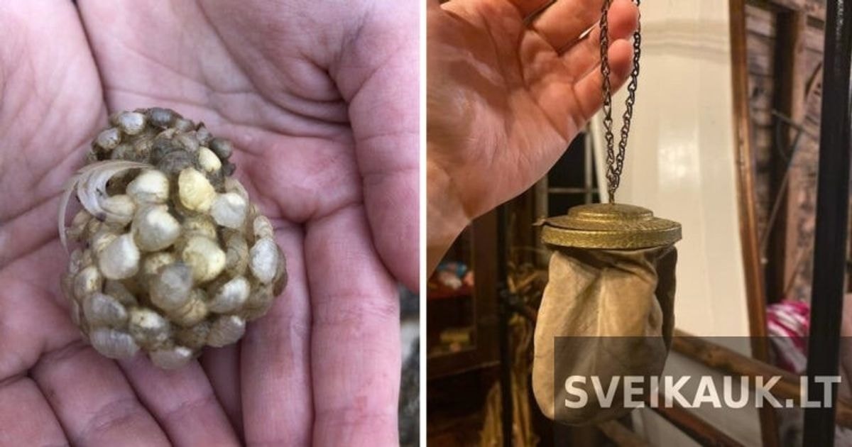 Keisti bei paslaptingi daiktai rasti Lietuvoje. Ar žinosite bent kelis iš jų?