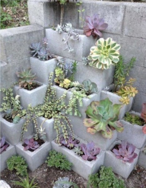 nuotrauka