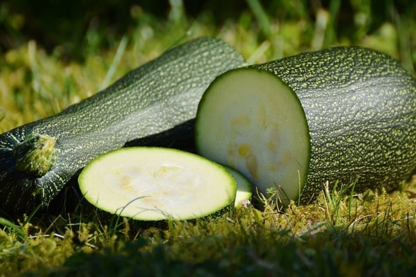 nuotrauka