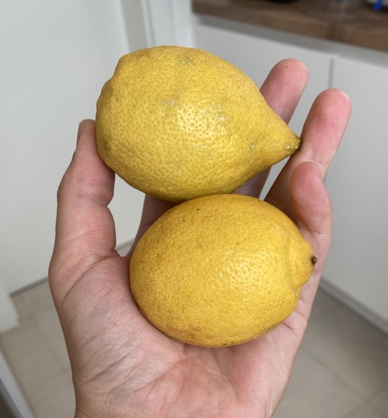 Balinimas citrinos sultimis