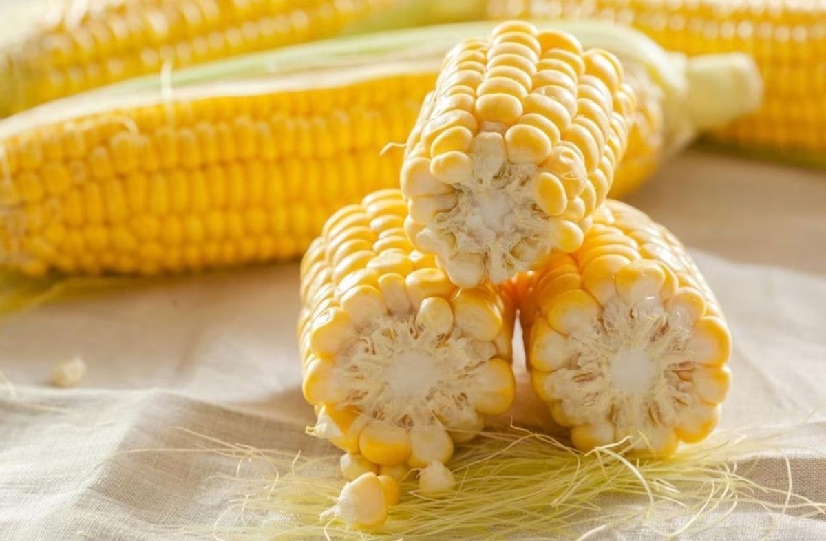 Corn