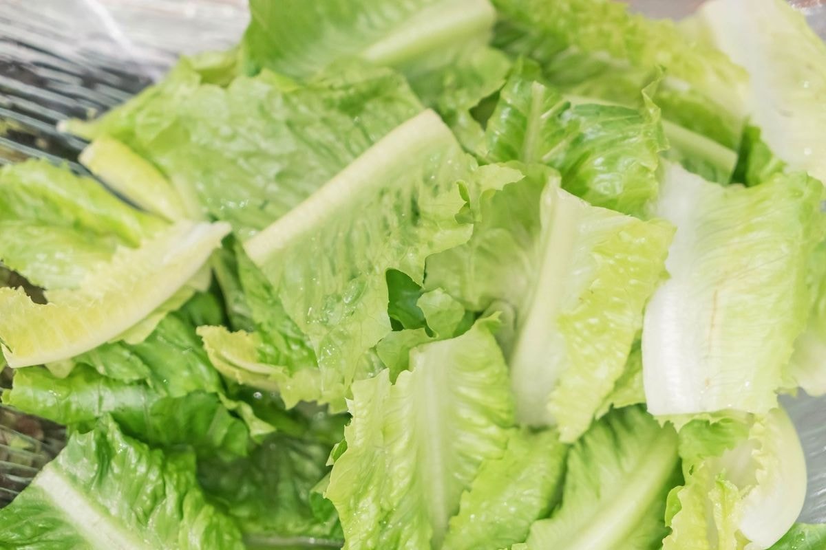 Romaine Lettuce