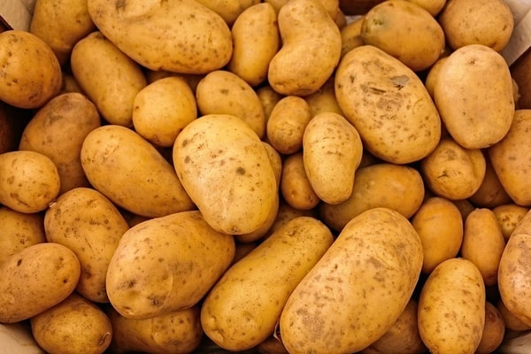 bulvių