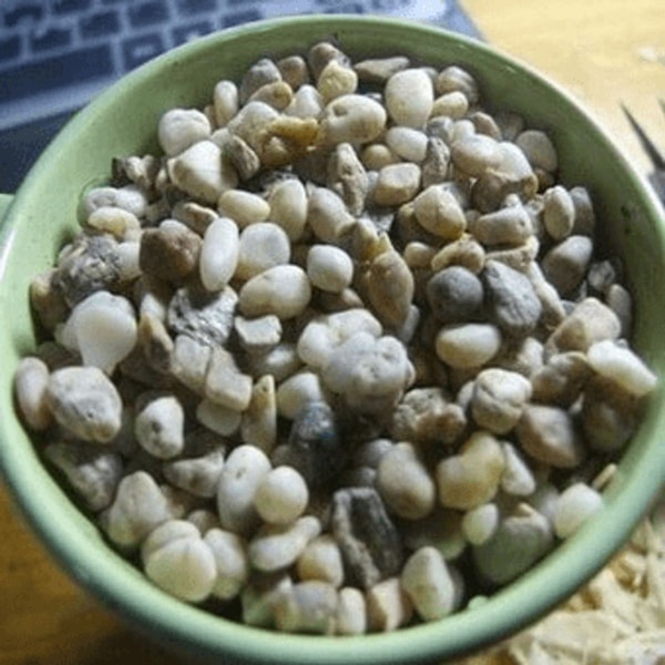 nuotrauka