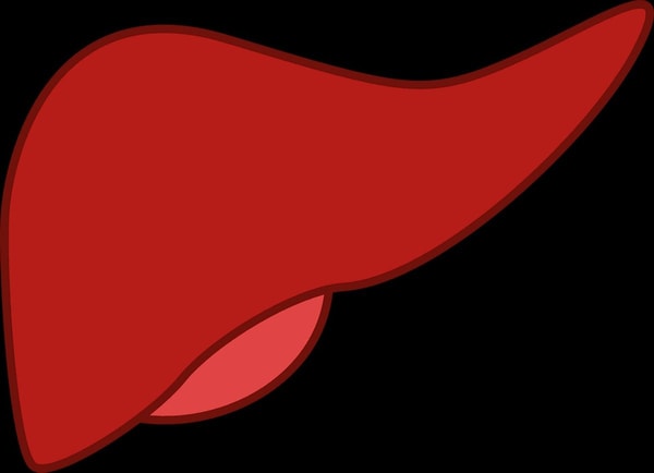 nuotrauka