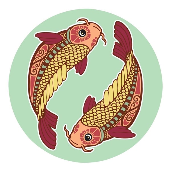 nuotrauka