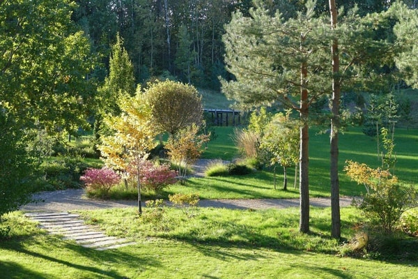 nuotrauka