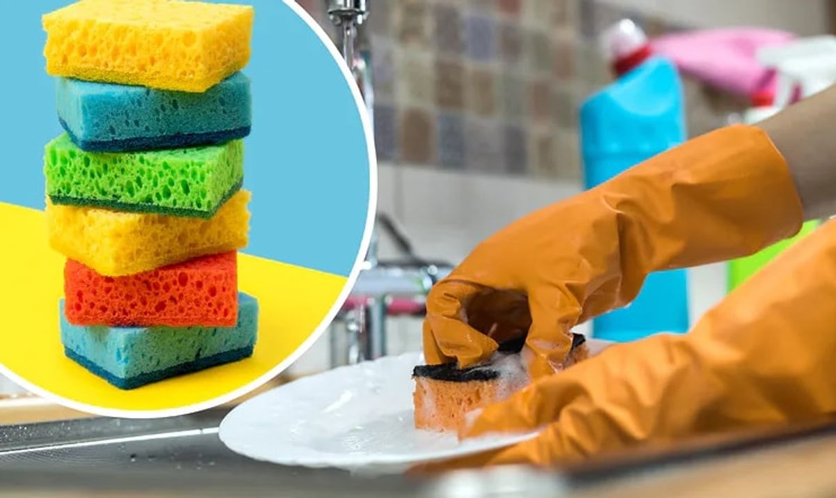 Tik sulaukusi 40 metų sužinojau, kad indų kempinėlės spalva turi didelę reikšmę!
