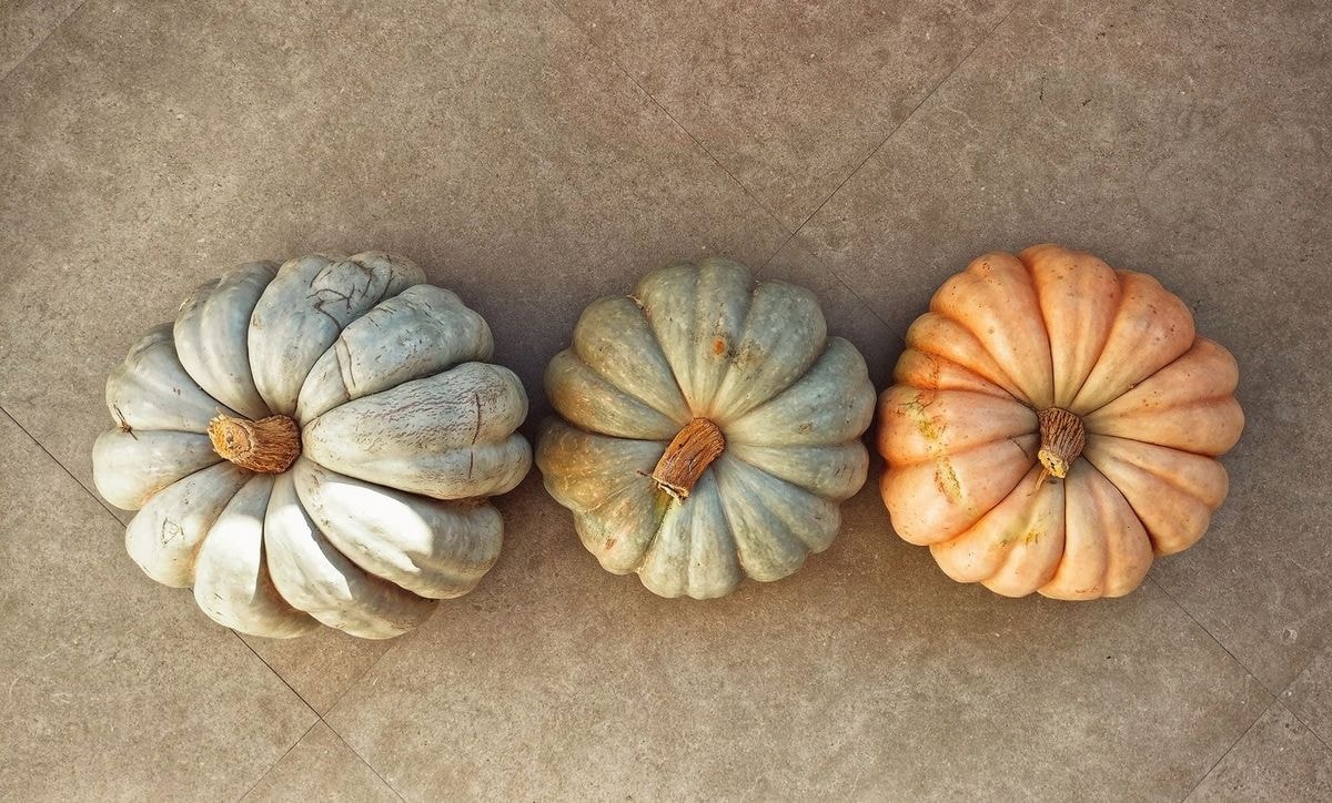 Pumkins