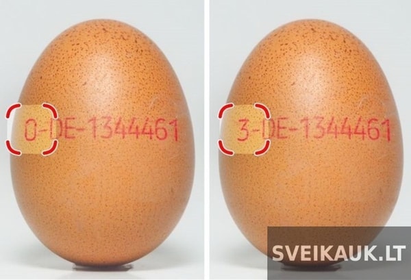 nuotrauka