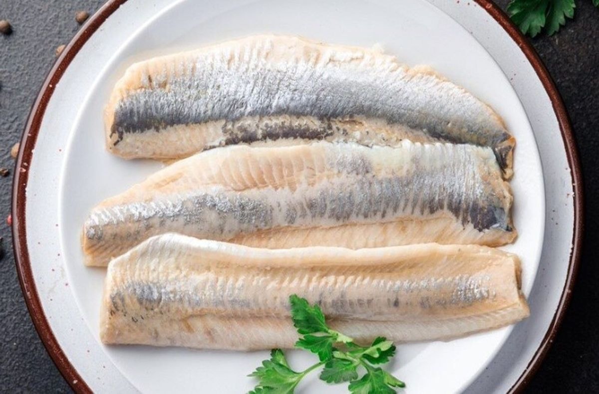 Herring
