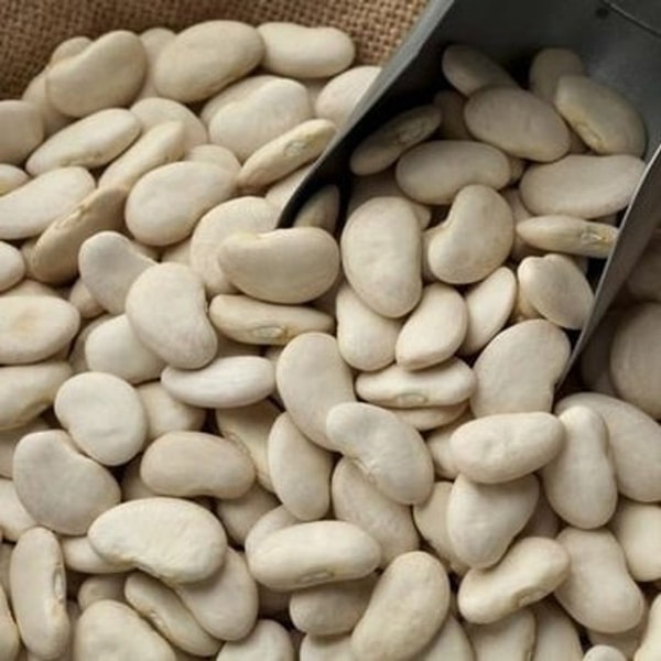 nuotrauka