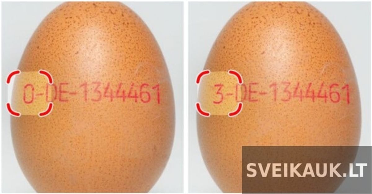 10 naudingų kasdienybės dalykų, apie kuriuos niekada nežinojote