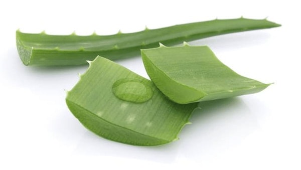 nuotrauka