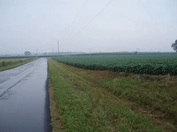 Kelias