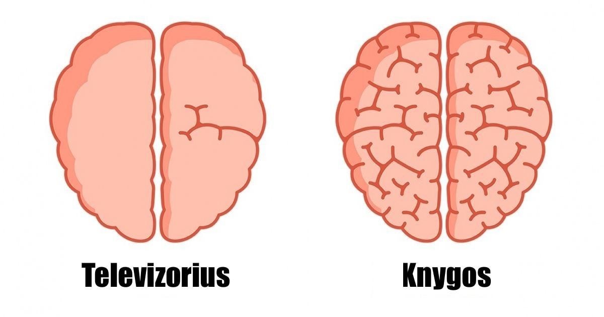 9 nuostabūs pavyzdžiai, kokią  įtaką mes darome savo smegenims