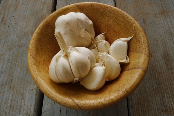 nuotrauka