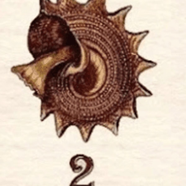 2 kriauklė