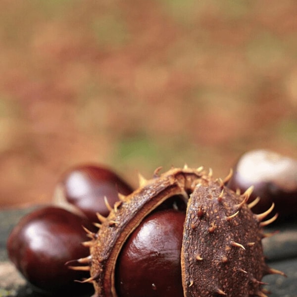 nuotrauka