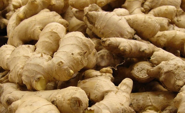 nuotrauka