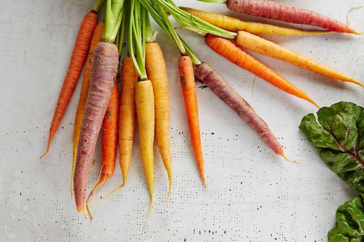 Fresh Carrots