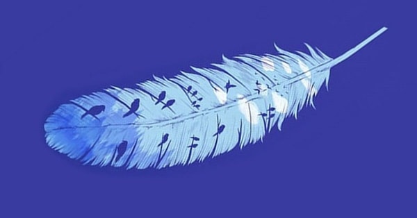 nuotrauka