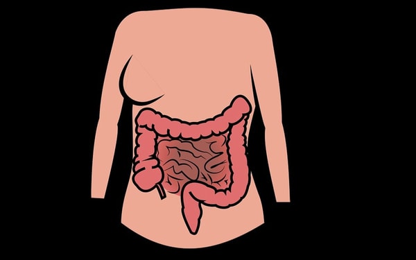 nuotrauka