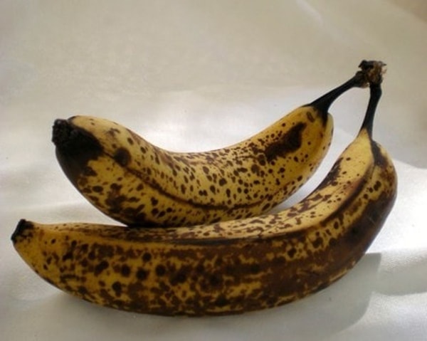 nuotrauka