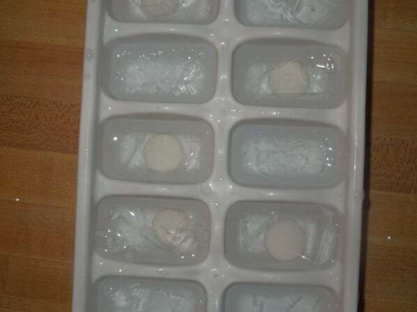nuotrauka