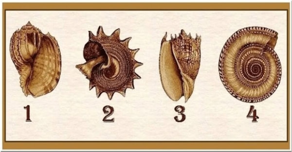 Pasirinkite kriauklę