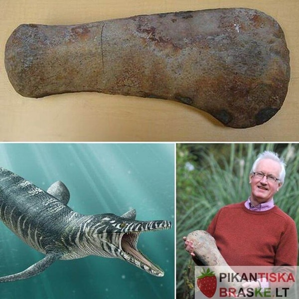 nuotrauka