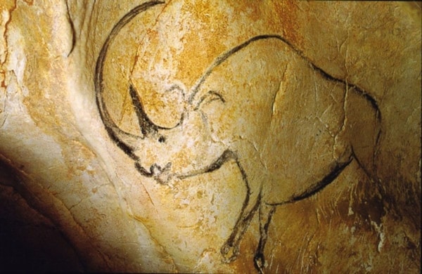 nuotrauka