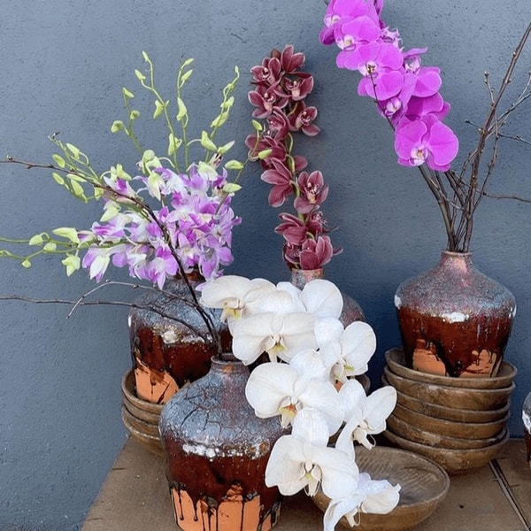 Orchidėjų trąšos iš kiaušinių lukštų