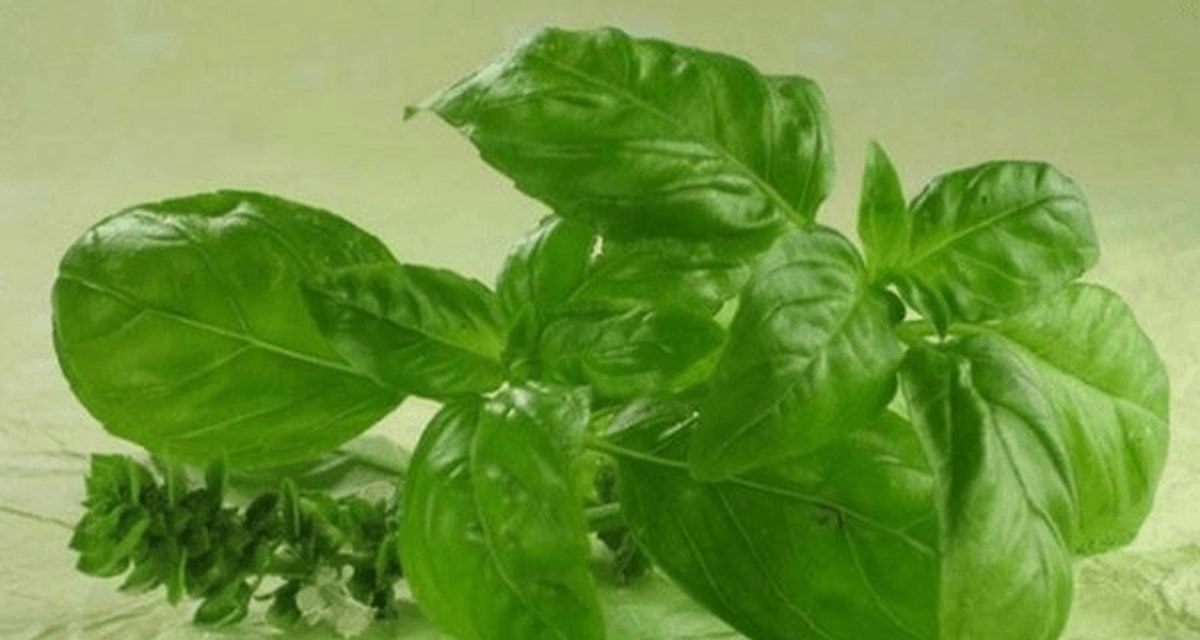 Sumažinkite cholesterolio kiekį