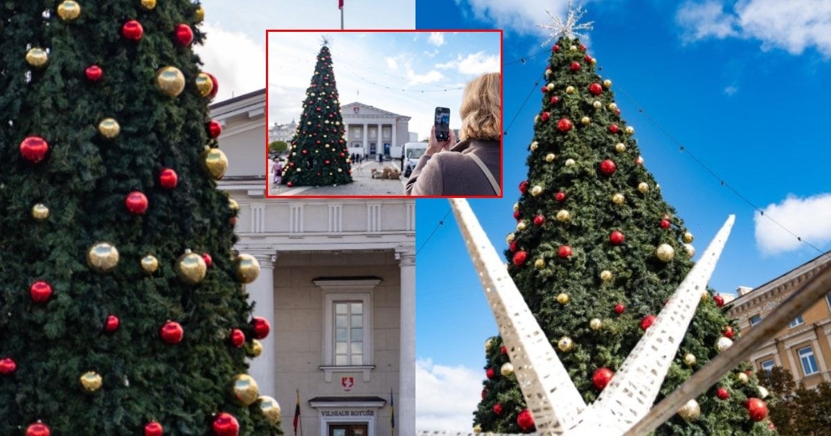 Praeiviai netiki savo akimis: Vilniaus centre jau puošia Kalėdų eglę