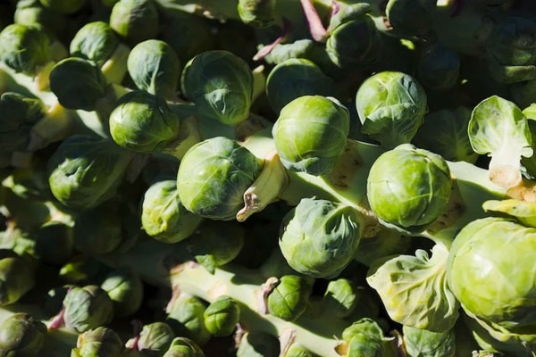 naturalbrusselssprouts