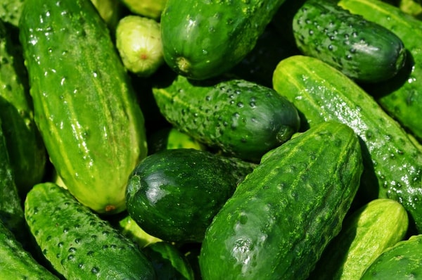 nuotrauka