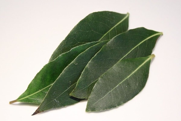 nuotrauka