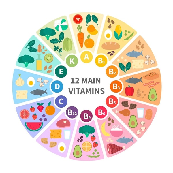 circle of main vitamins