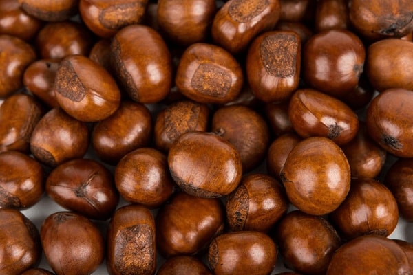nuotrauka