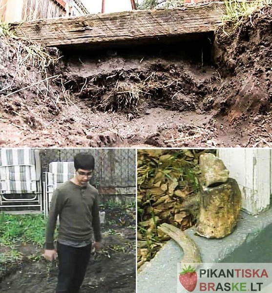 nuotrauka