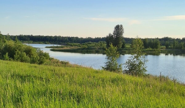 nuotrauka
