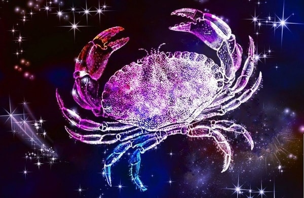 nuotrauka